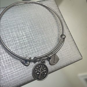 Charm memories bangle bracelet with family charm sterling silver